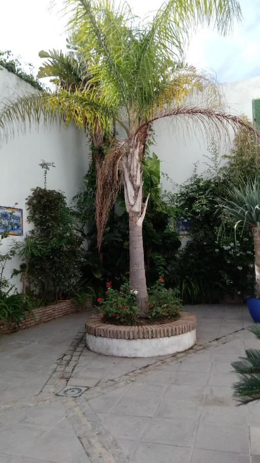 טריפה Gravina Comfort מראה חיצוני תמונה