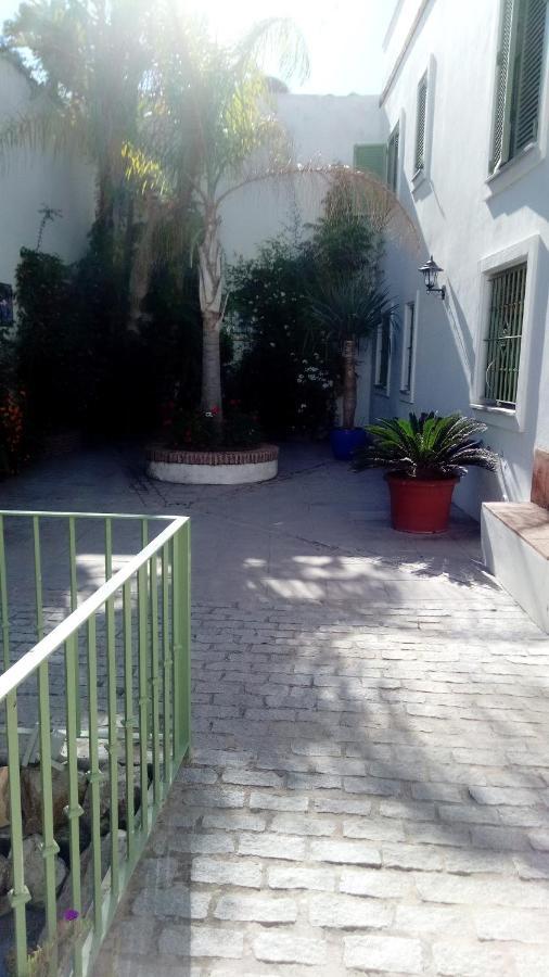 טריפה Gravina Comfort מראה חיצוני תמונה